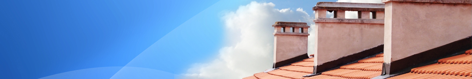 Banner - Tim Borowski