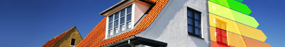 Banner - Tim Borowski