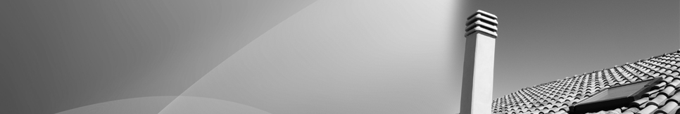 Banner - Tim Borowski