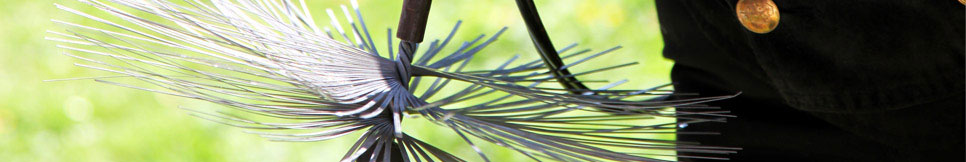 Banner - Tim Borowski